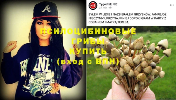 ECSTASY Баксан