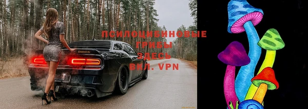mdpv Балахна